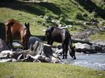 Am Fluss