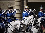 Muskikorps der Schwedischen Kavallerie