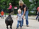 bei Felix bekommen alle Tiere was