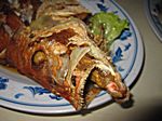 unser Red Snapper