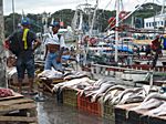 Fischmarkt in Belem
