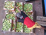 Tomaten haben wir genug an Bord