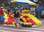 auf dem Blumenmarkt in Manaus