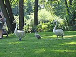Familie Schwan war auch da