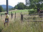 August der Pferdefl�sterer