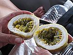 Maracuja